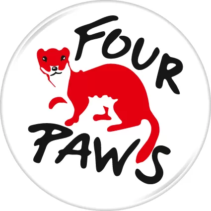 Four paw