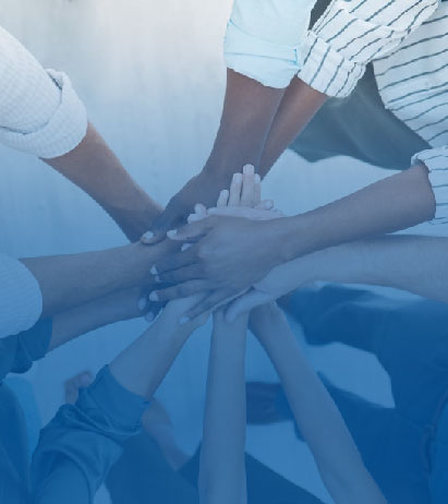 Tư vấn và đối tác chiến lược